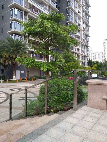 金沙湾豪璟园,军民路8号-湛江金沙湾豪璟园二手房,租房,房价-湛江安居