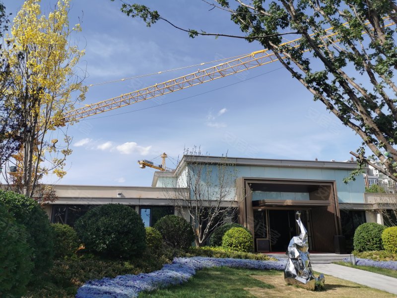 鑫苑盛世天玺,云景南大街-衡水鑫苑盛世天玺二手房,租房,房价-衡水