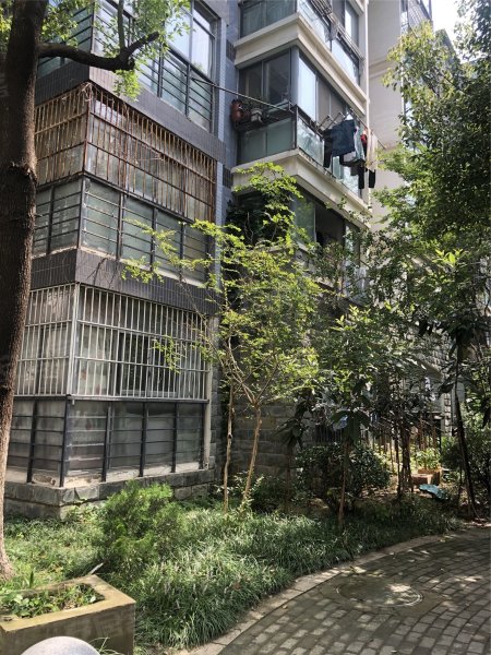 香樟雅苑,东至路8号-合肥香樟雅苑二手房,租房,房价-合肥安居客
