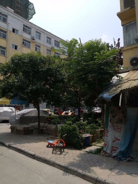 郑飞小区(西区),淮南街-郑州郑飞小区(西区)二手房,租房,房价-郑州