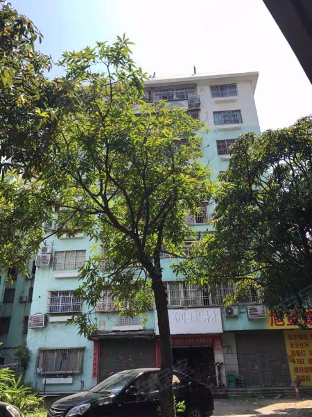 碧海花园(安乐三街),安乐三街212号-深圳碧海花园(安乐三街)二手房