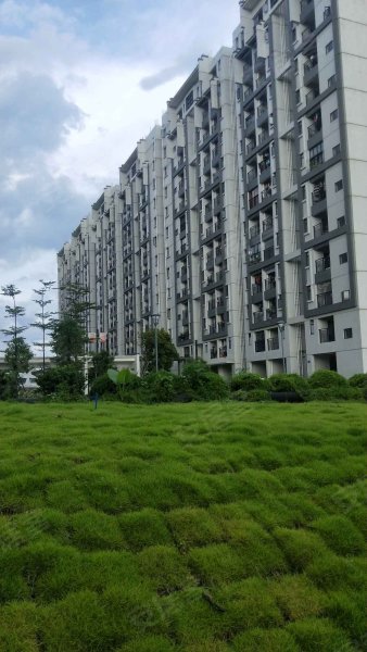 珠江嘉苑,沐陂西路18号-临沂珠江嘉苑二手房,租房,房价-临沂安居客