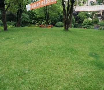 恒大西辰绿洲