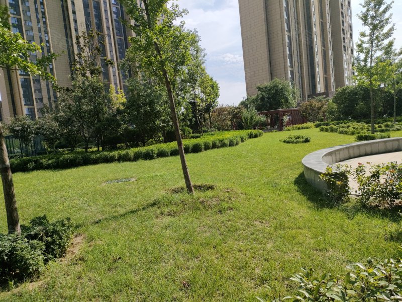 升龙广场,鹤淇大道-鹤壁升龙广场二手房,租房,房价-鹤壁安居客