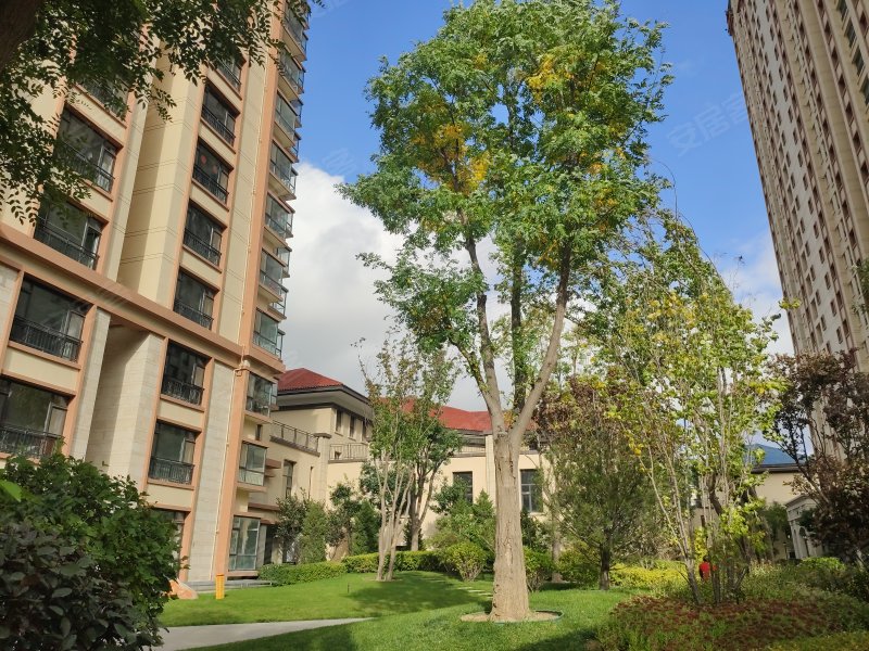 天庆金域蓝湾,关川路-定西天庆金域蓝湾二手房,租房,房价-定西安居客