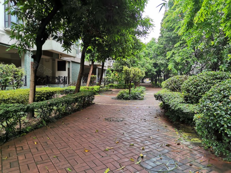 岭南花园,同嘉路-广州岭南花园二手房,租房,房价-广州安居客