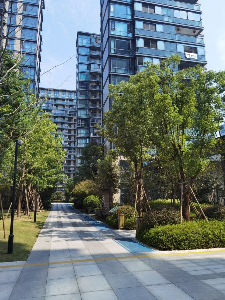 天阳中山邸,城北街,近中山街-丽水天阳中山邸二手房,租房,房价-丽水