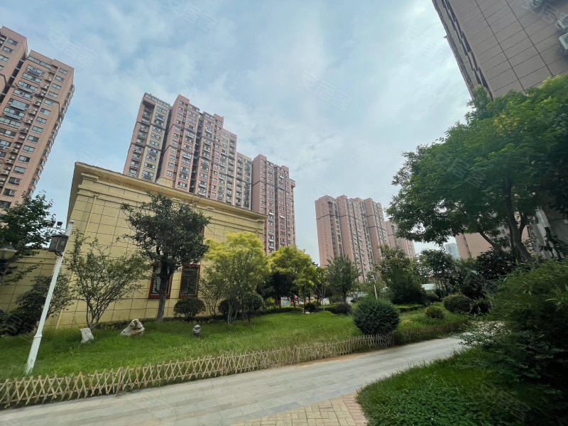 碧桂园翡翠澜湾,龙头西路,近衡山路-枣庄碧桂园翡翠澜湾二手房,租房