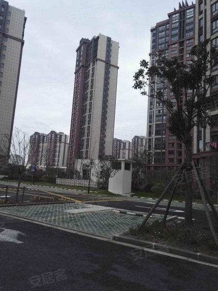 云翔佳苑(南区) 