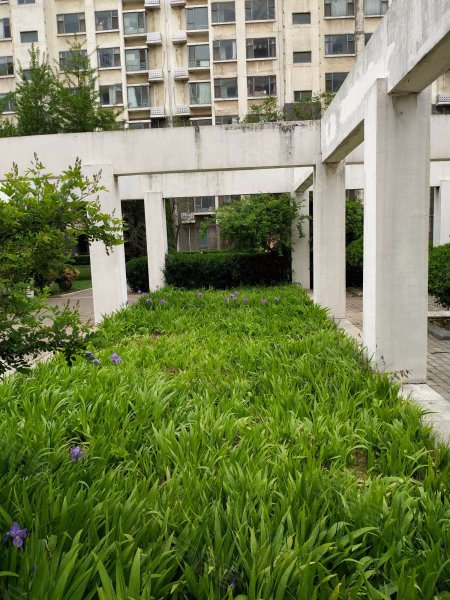 香榭丽舍,中丘路8号-临沂香榭丽舍二手房,租房,房价-临沂安居客