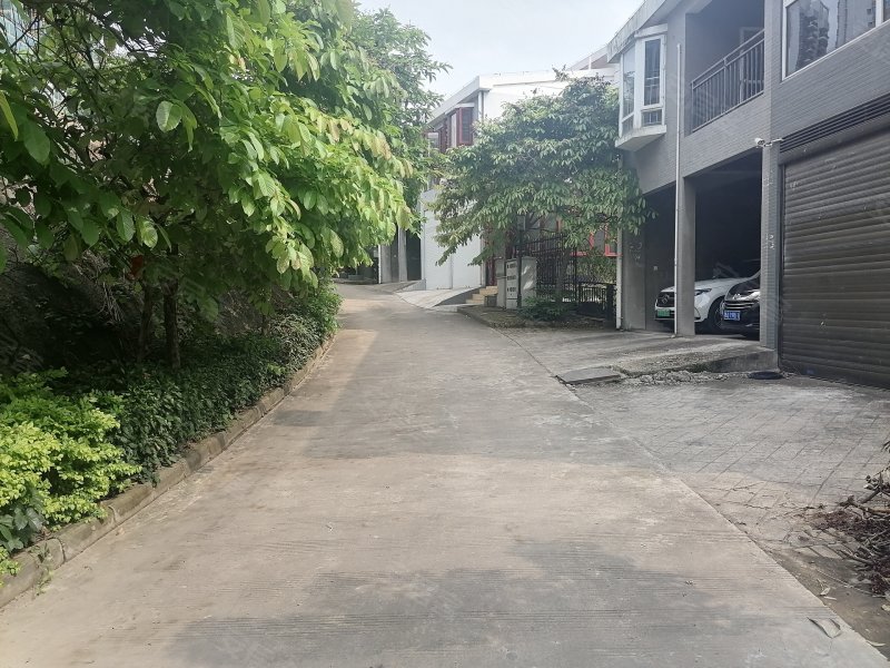 天池山(别墅),仙葫大道中段9号-南宁天池山(别墅)二手房,租房,房价