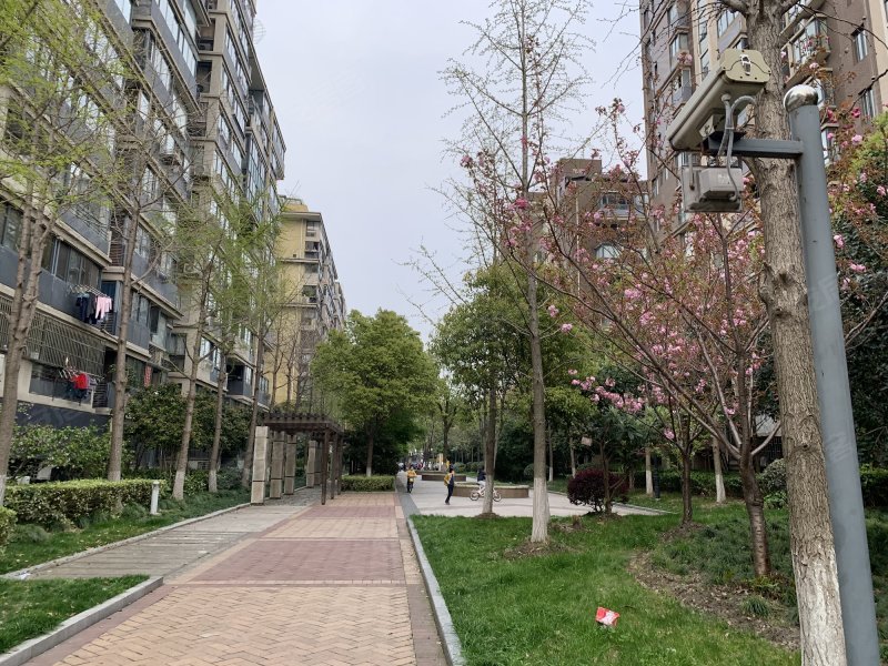 梧桐城邦(二期)