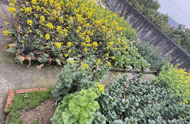 兴城花园2室2厅64㎡98万二手房图片