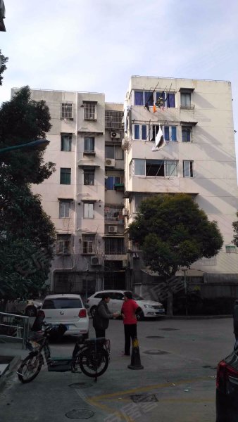 金桥新村五街坊 