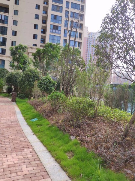 台北城,醴陵大道-株洲台北城二手房,租房,房价-株洲安居客