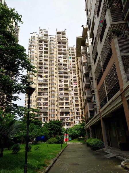 泽德花苑,西槎路688号-广州泽德花苑二手房,租房,房价-广州安居客