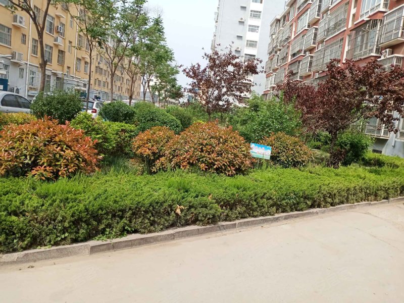 顺德和园,甘泉路-莘县顺德和园二手房,租房,房价-莘县安居客