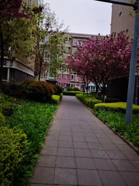 长庆湖滨花园(七区),阳光大道-西安长庆湖滨花园(七区)二手房,租房
