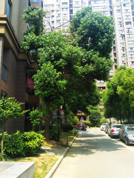 碧湖云溪(二期),当涂支路232号-合肥碧湖云溪(二期)二手房,租房,房价