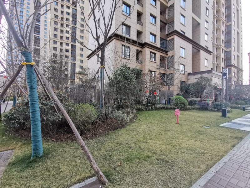 金泰新理城
