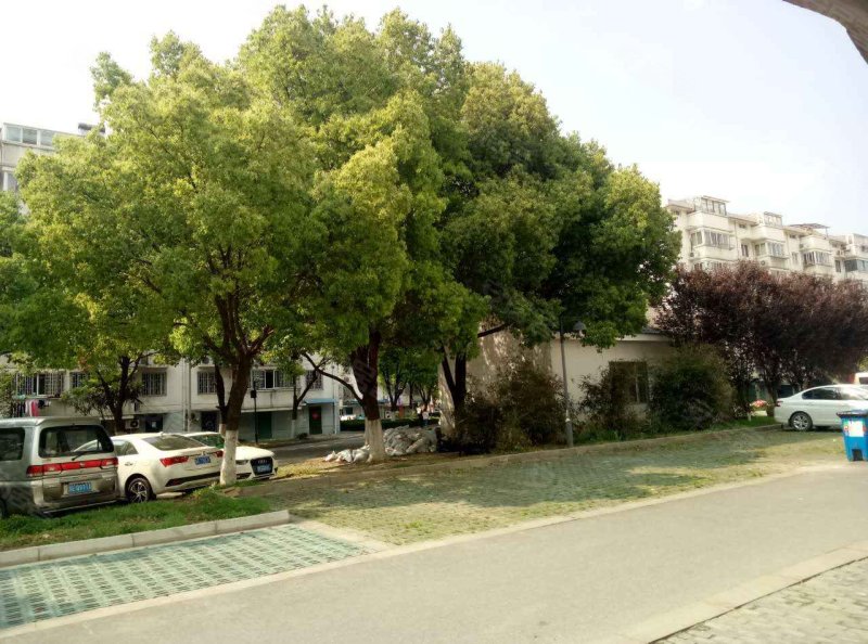 惠丰花园(南区)