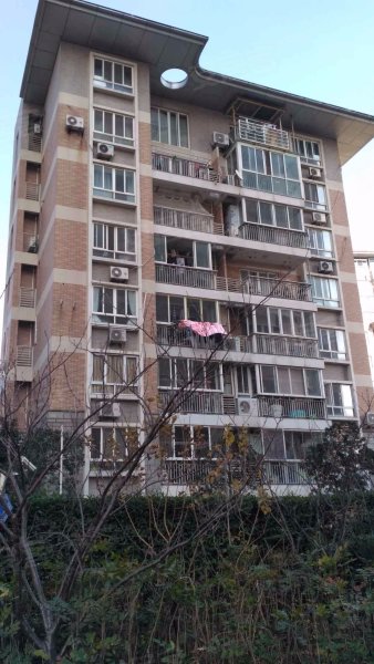 张江汤臣豪园一期(公寓住宅) 