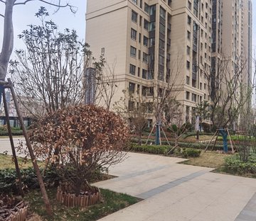 锦艺金水湾观臻苑