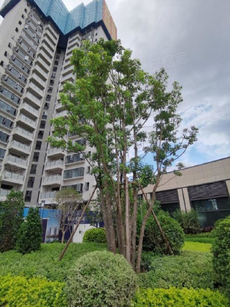 碧桂园松湖明珠