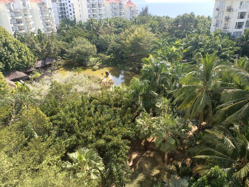 阳光海岸,三亚湾路210号-三亚阳光海岸二手房,租房,房价-三亚安居客