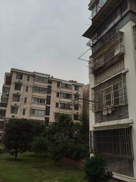 玉兰香苑(二期A区)