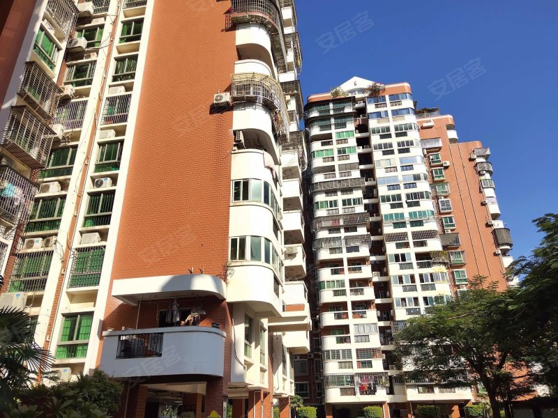 信达大厦,兴隆路7,11,13号-厦门信达大厦二手房,租房,房价-厦门安居客