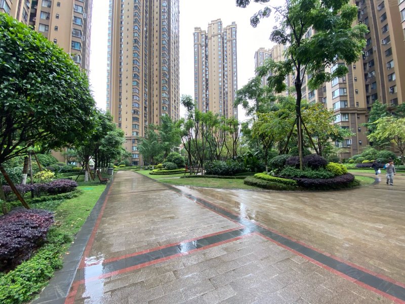 鸿通凤凰国际,三苏路,近瑞祥路-乐山鸿通凤凰国际二手房,租房,房价