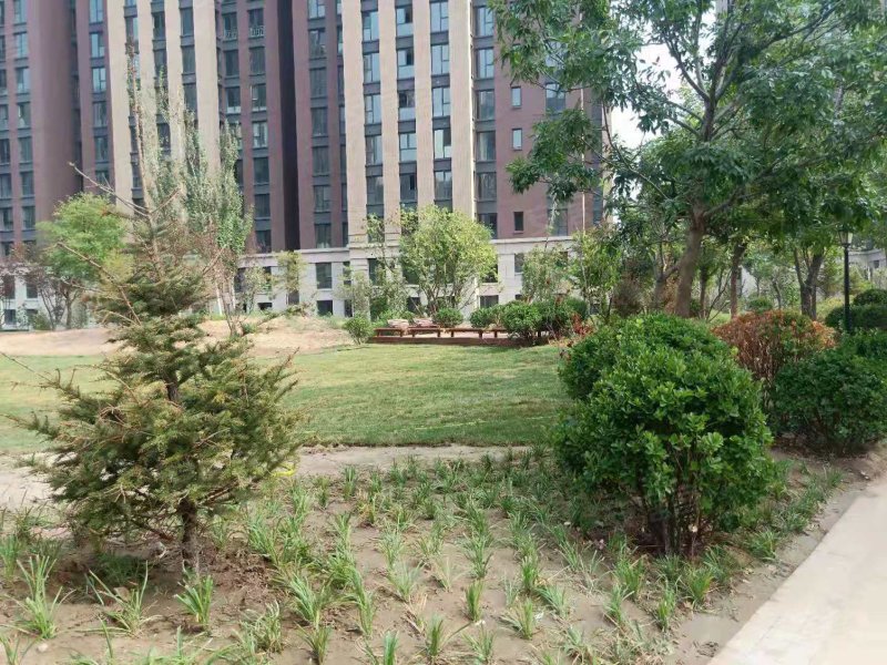 k2狮子城海棠园,常青路-廊坊k2狮子城海棠园二手房,租房,房价-廊坊