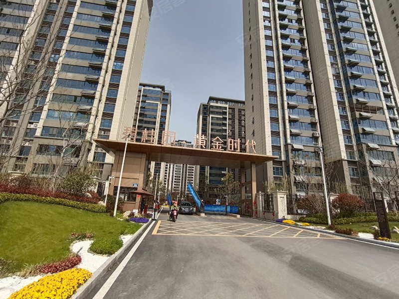 碧桂园黄金时代