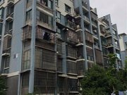 滨江区政府江南实验迎春南苑南北通透