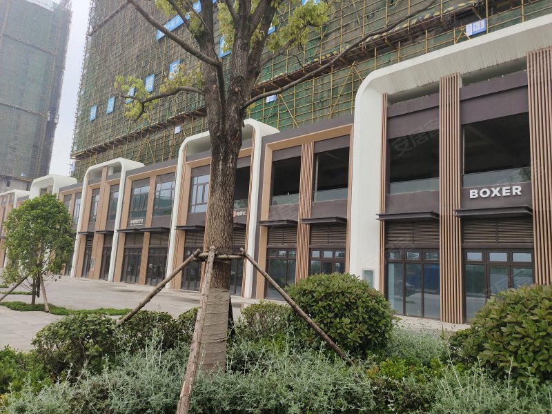 实地黄冈蔷薇国际