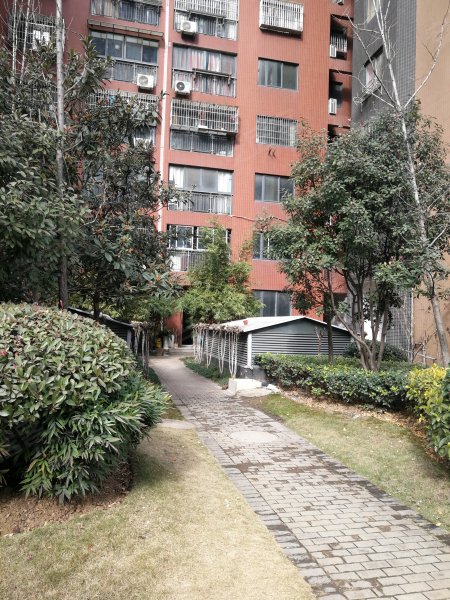 新长江香樟林,工人村路66号-武汉新长江香樟林二手房,租房,房价-武汉