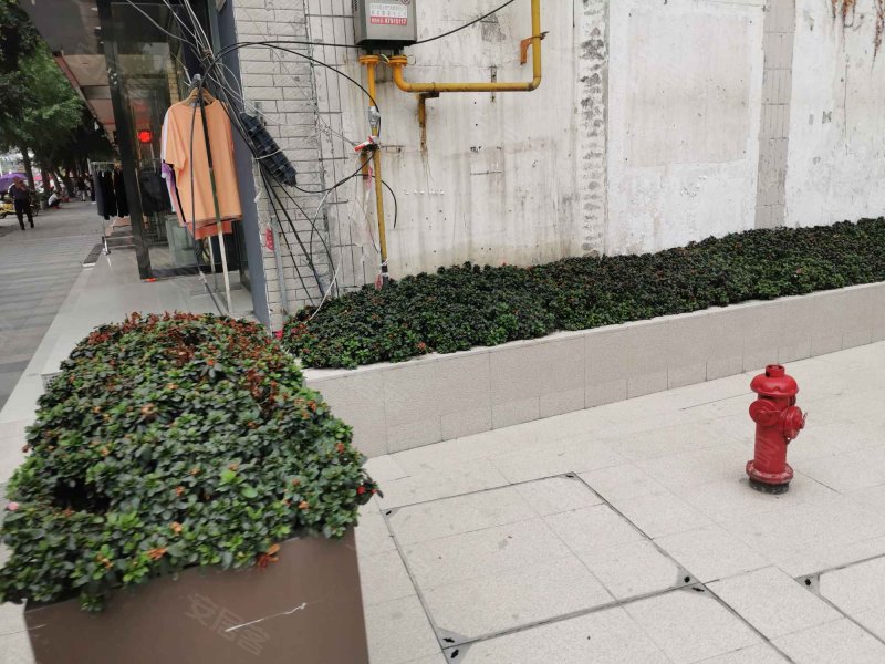 郫县东大街小区,东大街385号-成都郫县东大街小区二手房,租房,房价