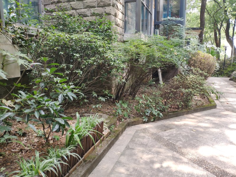 正扬南山别院,南山公园路168号-重庆正扬南山别院二手房,租房,房价