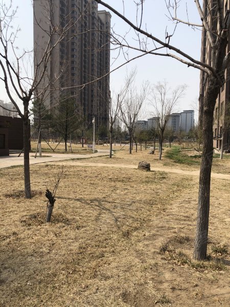 后北营家园(三区)