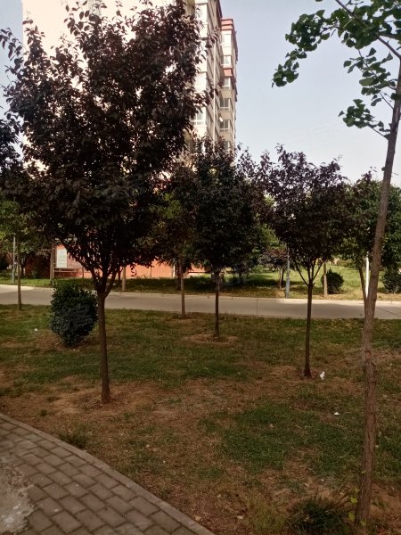 东湖花园,洛岳路-洛阳东湖花园二手房,租房,房价-洛阳安居客