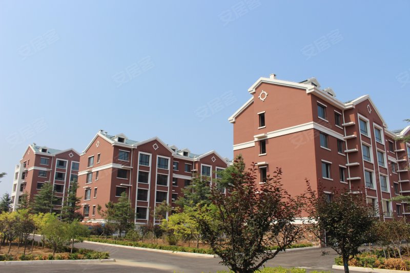 金府花园,府前路32号-青岛金府花园二手房,租房,房价-青岛安居客