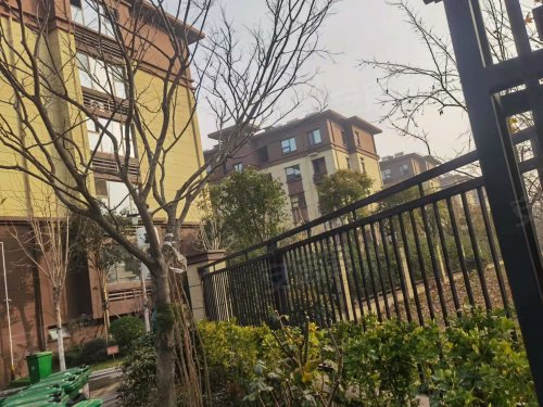 微山龙城公馆(别墅),奎文西路,近部城街 - 微山微山龙城公馆(别墅)