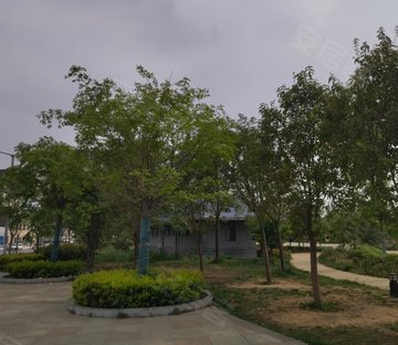 新马路小区