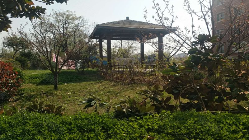 白马庄园(别墅),文化东路11号-枣庄白马庄园(别墅)二手房,租房,房价