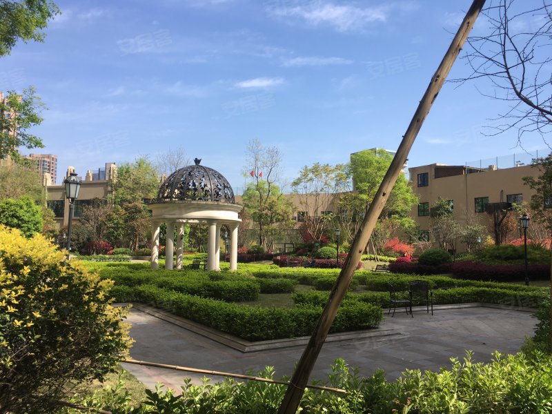 铂金汇