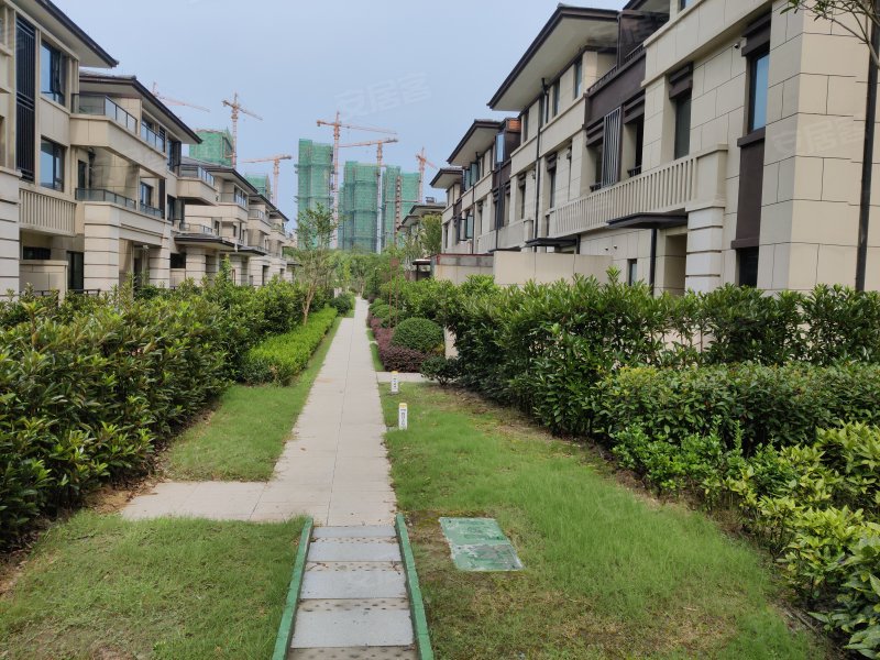 新南浔孔雀城(别墅)