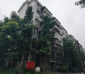 新青杨小区