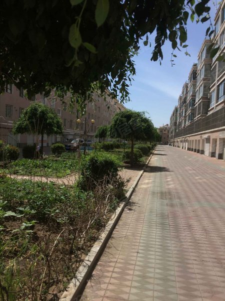 光明花园(辽中)