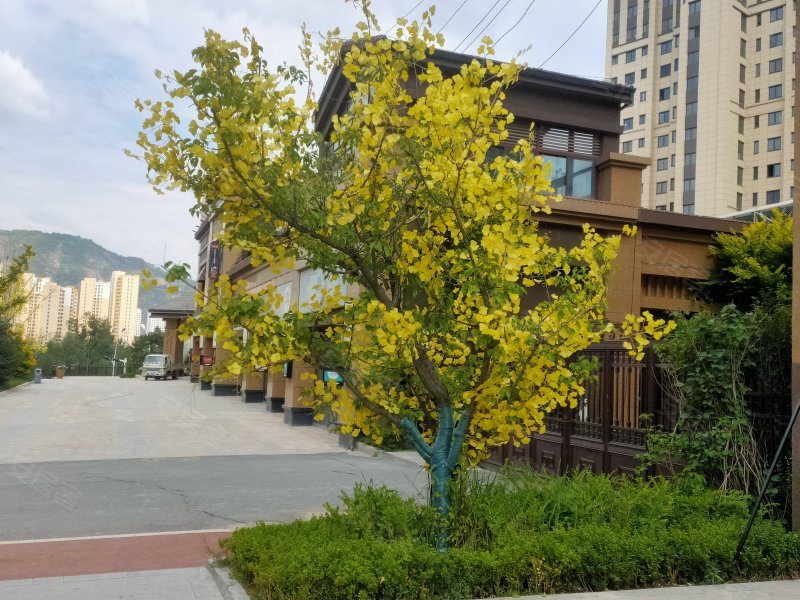 碧桂园,海湖大道15号-西宁碧桂园二手房,租房,房价-西宁安居客